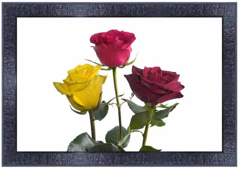 pnf New born Baby Frames Wood Photo Frames with Acrylic Sheet (Glass)1150 Digital Reprint 10 inch x 14 inch Painting  (With Frame)