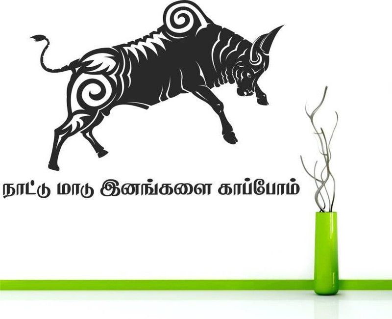KICKWIX Jallikattu Tamil Bull Decorative - Creative - Wall Sticker ( 60 cm X 70 cm )  (70 cm X 60 cm, Black)