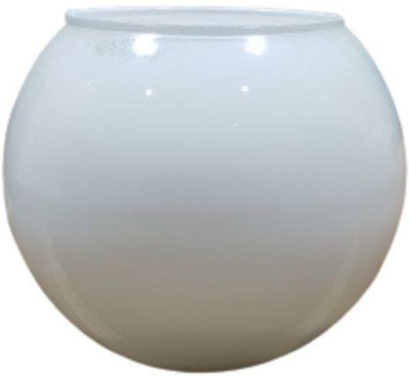 Essjay Botanic Flower Vase/ Fish Bowl, White, Capacity 800 ML, Made in India Glass Vase  (4.2 inch, White)