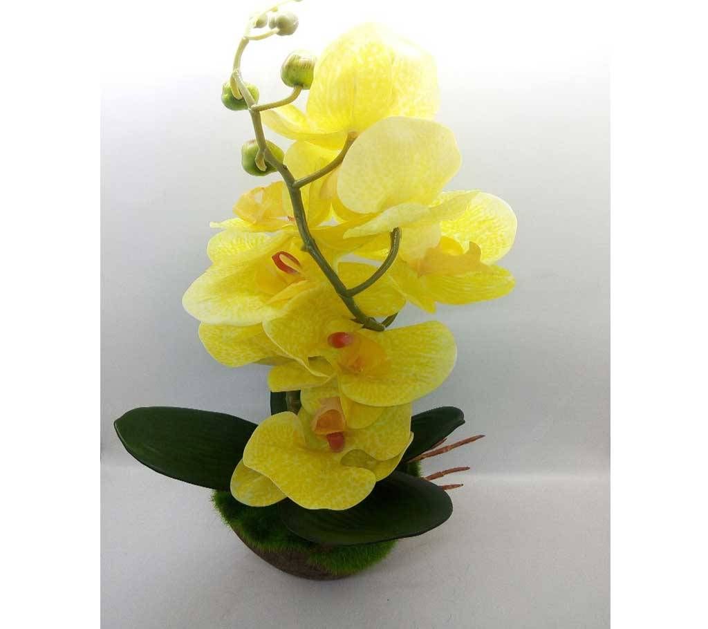 Orchid Tub