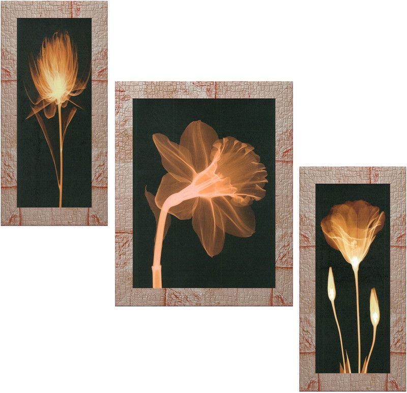 Indianara Set of 3 Abstract Flowers Framed Art Painting (3069MR) without glass Digital Reprint 13 inch x 10.2 inch Painting  (With Frame, Pack of 3)