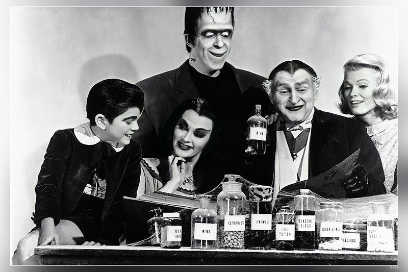 The Munsters Matte Finish Poster Paper Print  (12 inch X 18 inch)