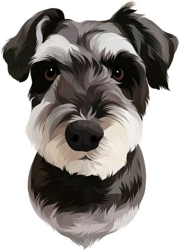 Dogs Posters, Unframed, Inside Self Adhesive Tape, Size - 12 X 18 Inches Paper Print  (18 inch X 12 inch)