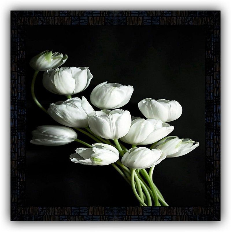 Poster N Frames framed poster of Flower floral-25439 Digital Reprint 14 inch x 14 inch Painting  (With Frame)