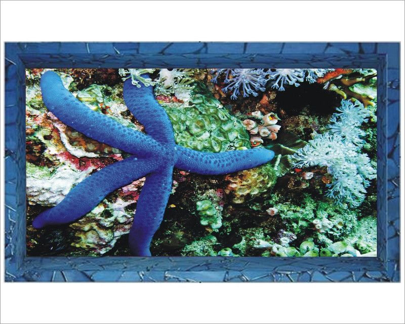 Jagvii 75 cm Star Fish in The sea Level, Self Adhesive Sticker  (Pack of 1)