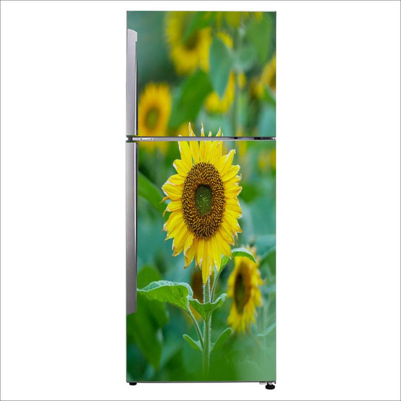 Advait Designs 60 cm Advait Designs Decorative Beautiful fresh and natural sunflower fridge sticker Self Adhesive Sticker  (Pack of 1)