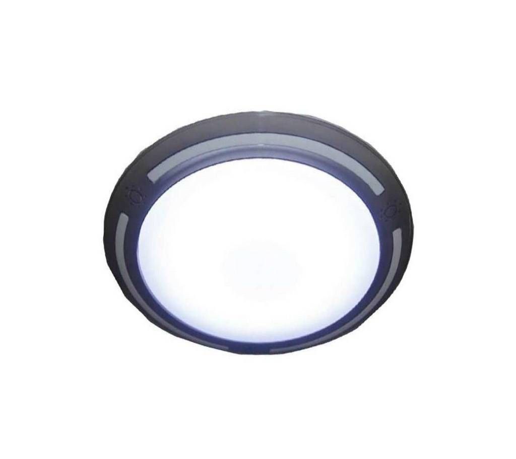 LED Ceiling Decoration Light - White