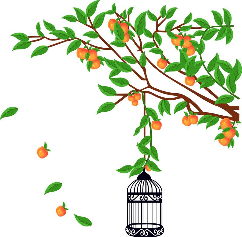 Burhani Decor 95 cm Beautiful tree with fruits cage pvc vinyl multicolor decorative wall sticker for wall decoration size : 95 Cm X 97 Cm Self Adhesive Sticker  (Pack of 1)