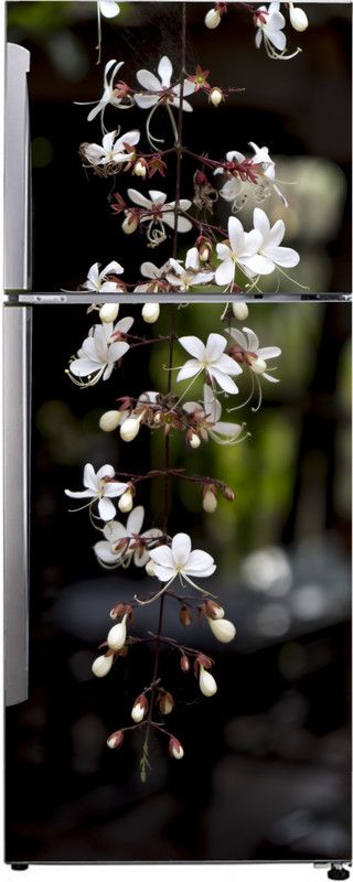 K2A Studio 60 cm beautiful hanging white flower with blur background wallpaper Self Adhesive Sticker  (Pack of 1)