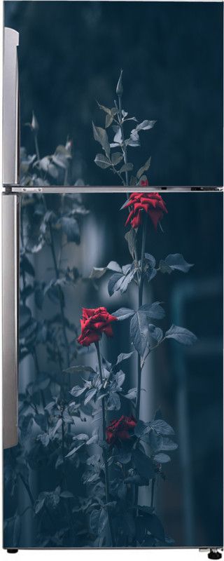 K2A Studio 60 cm red flower and leaves with dark background extra large sticker Self Adhesive Sticker  (Pack of 1)