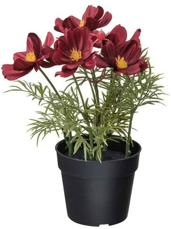 IKEA Digital Shoppy Artificial Potted Plant, in/Outdoor/Cosmos red, 9 cm (3 ½ ") Red Cosmos Artificial Flower with Pot  (3.5 inch, Pack of 1, Flower with Basket)