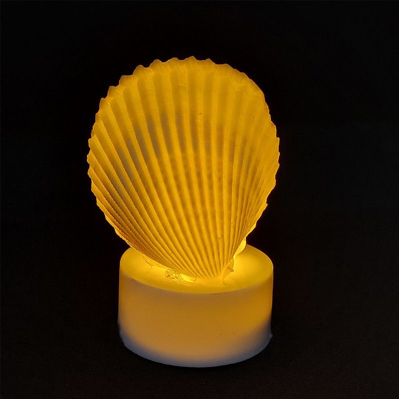 Hubshi Natural Seashell Seep Shankh Multi Tea Light Diya (Seep Shankh) 6 Pcs Candle  (Multicolor, Pack of 6)