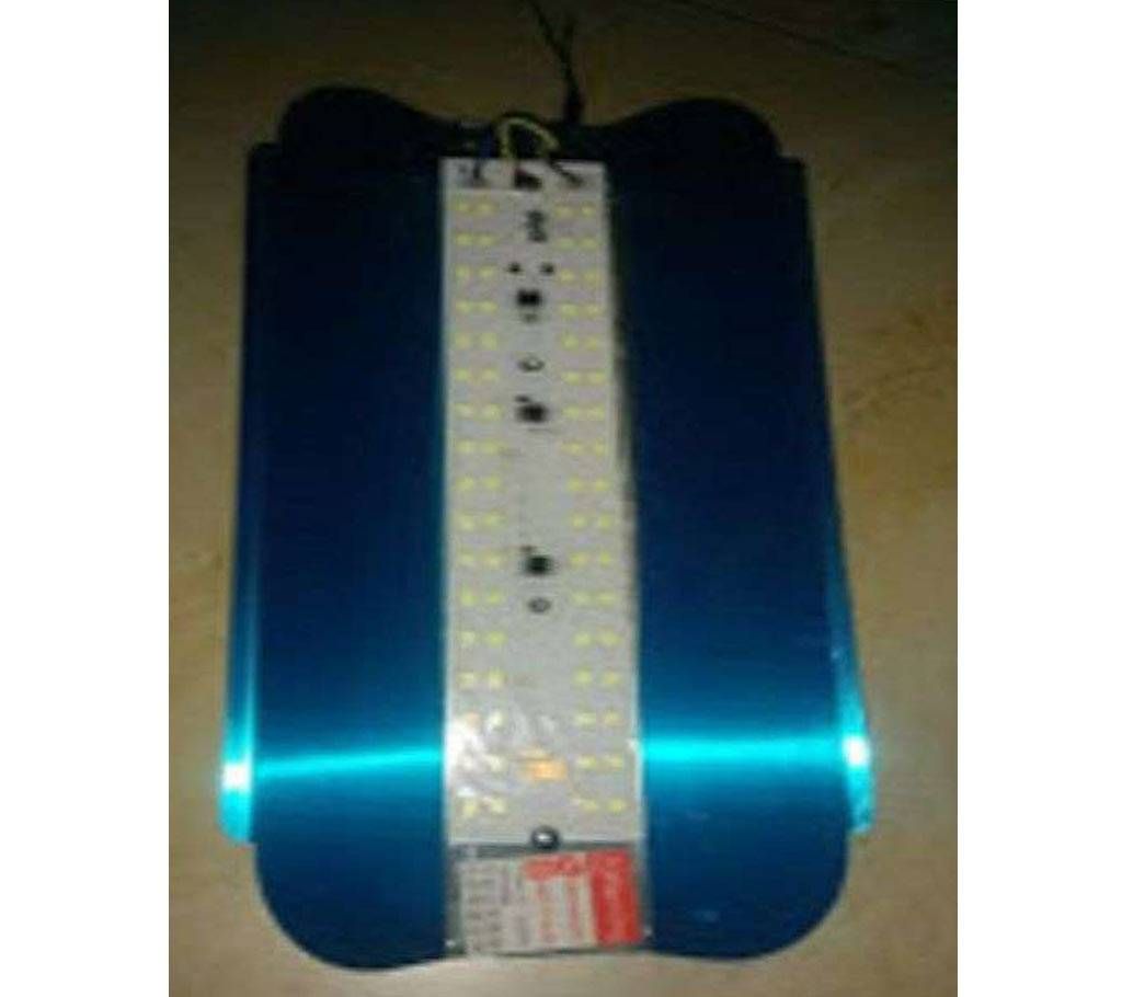 50 Watt AC 220v Carrying LED Light