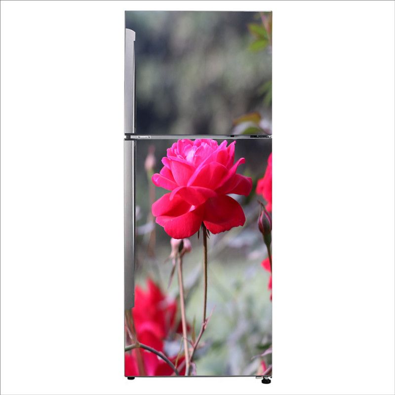 Advait Designs 60 cm Advait Designs Decorative Beautiful wild red rose with blur background Self Adhesive Sticker  (Pack of 1)