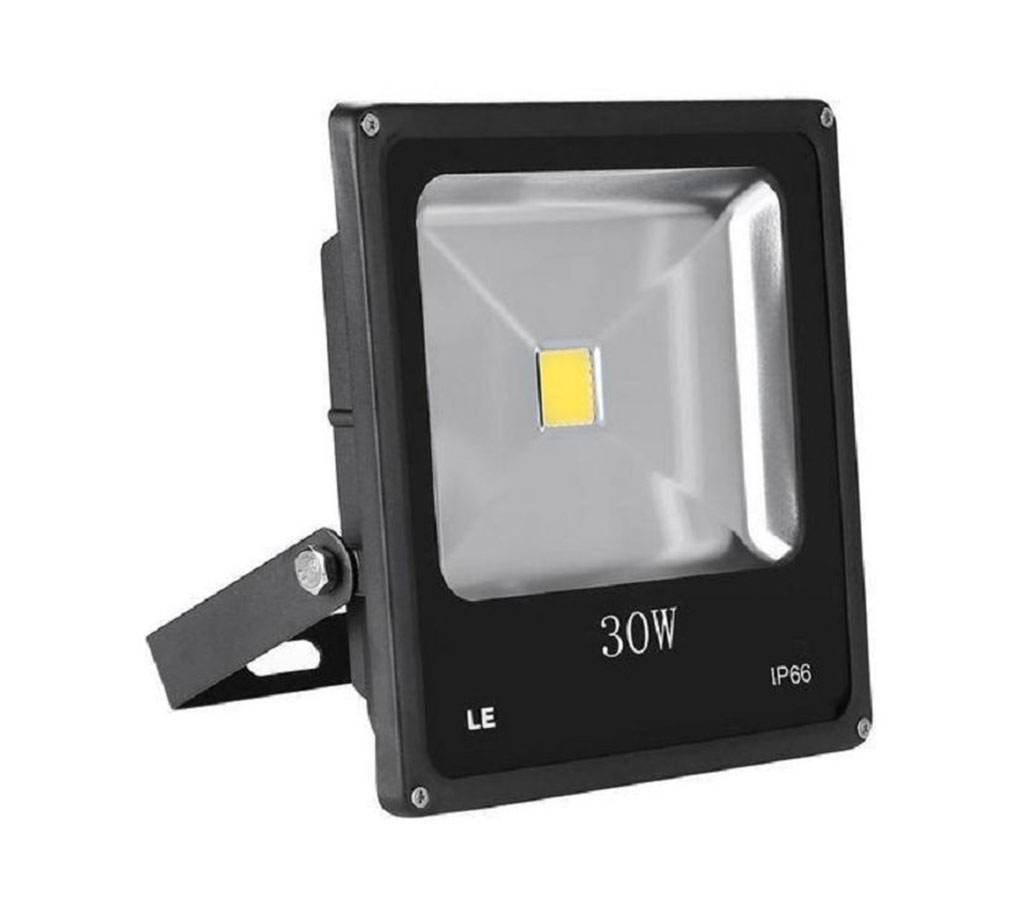 LED Flood Light 30W