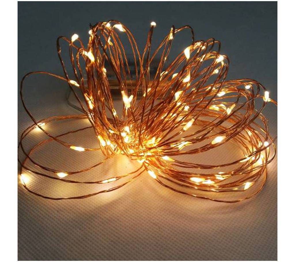 5m Copper Wire LED String Light