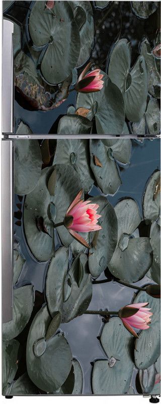 ADVAIT DESIGNS 160 cm Decorative beautiful lotus flowers in water lotus leaves fridge sticker Self Adhesive Sticker  (Pack of 1)