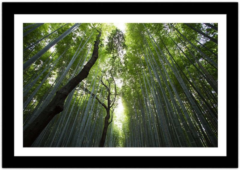 Aakanksha Store UV Protected Nature Painting Ink 14 inch x 20 inch Painting  (With Frame)