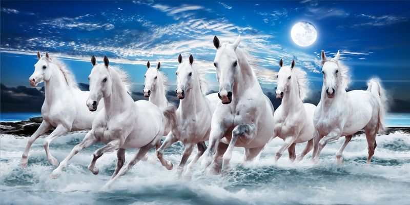 TENIDO 120 cm X 60.96 cm 7 Running Horse With Night Background And Full moon As Per The Vastu Shastra Animals Black Wallpaper  (120 cm x 60.96 cm)