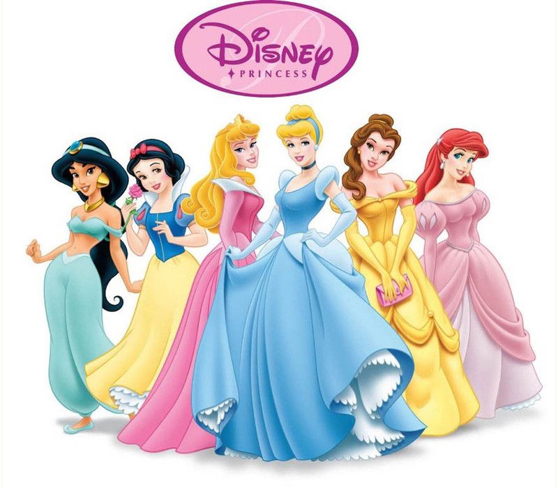 ANSHUL INTERNET POINT 18 cm DISNEY PRINCESS 11 Self Adhesive Sticker  (Pack of 1)