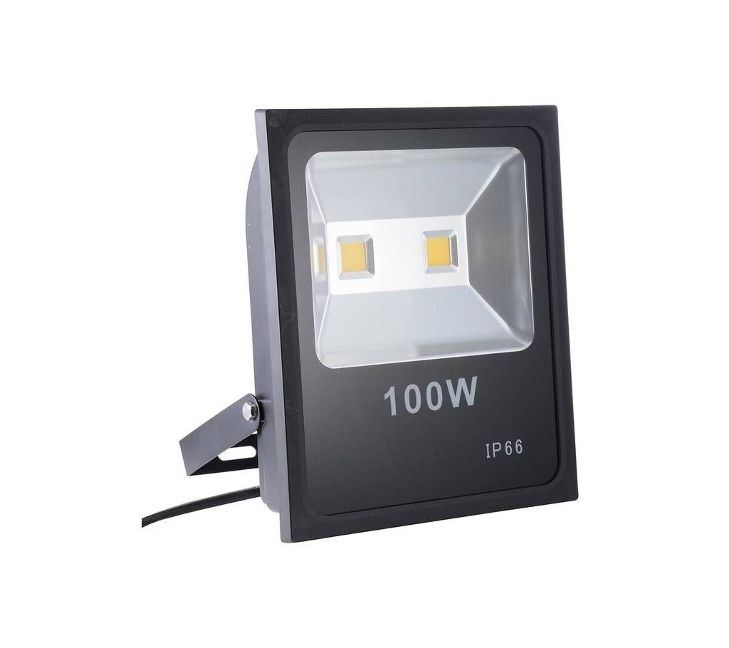 Flood Light-100 watt
