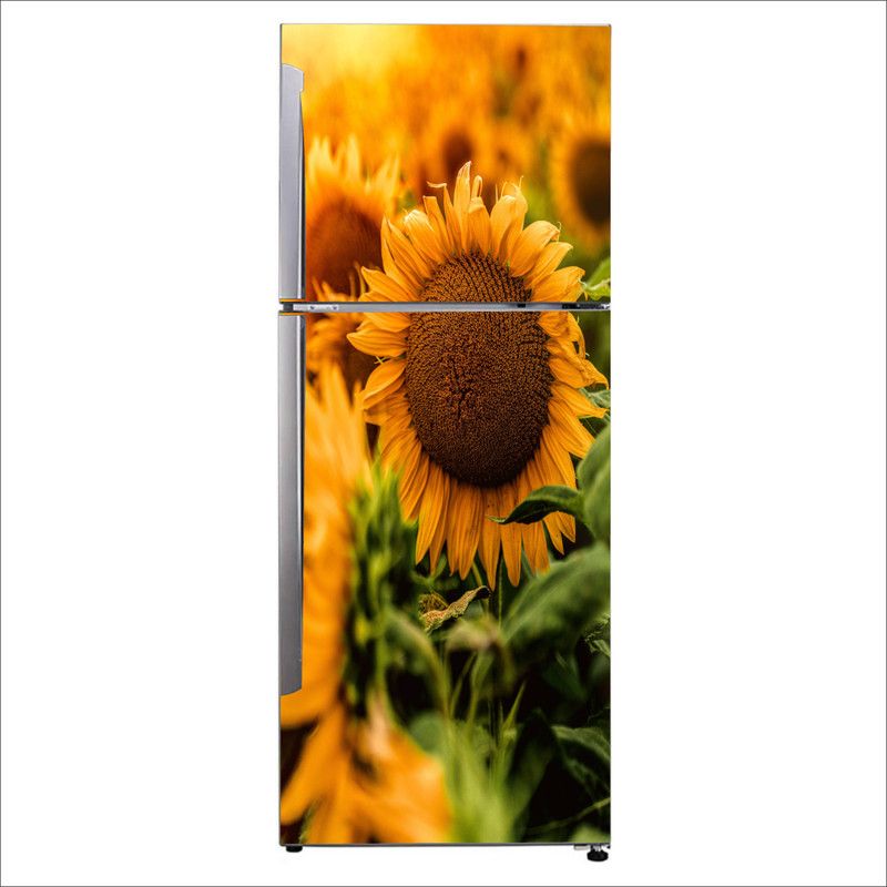 Advait Designs 60 cm Advait Designs Decorative Beautiful common large sunflower fridge sticker Self Adhesive Sticker  (Pack of 1)