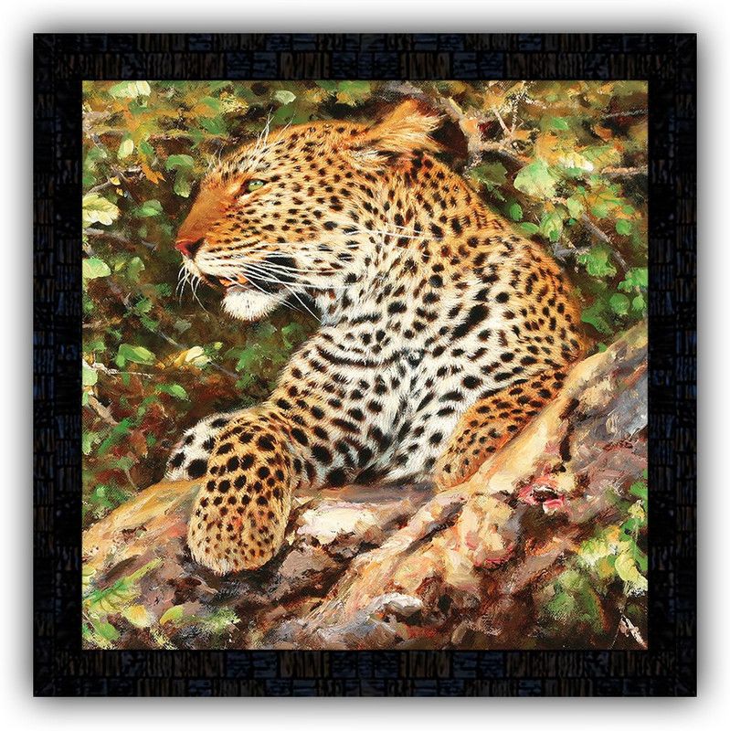 Poster N Frames framed poster of chetah 19057 Digital Reprint 14 inch x 14 inch Painting  (With Frame)