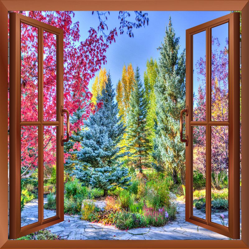 Designproduction Decorative Multicolor Wallpaper  (61 cm x 46 cm)