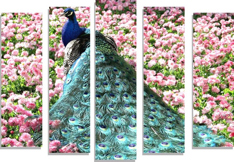 Beautifull Peacock With Pink Flowers Wall Posters (Multicolor PVC Vinyl) 3D Poster  (18 inch X 26 inch)