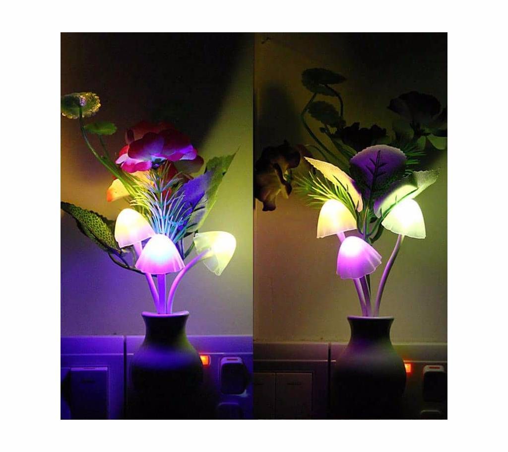 Night Romantic Light