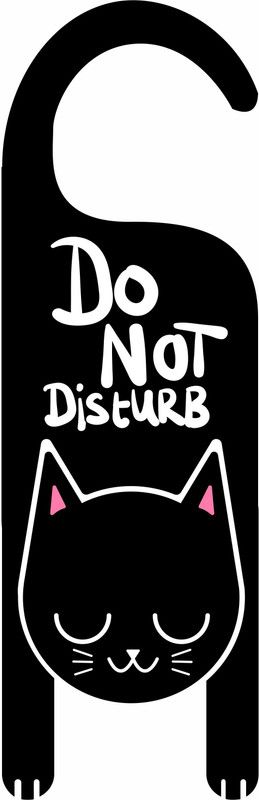 DECOR Production 147.32 cm "Cat Donot Disturb Design" Decorative Wall Sticker (24 inch x 36 inch) Self Adhesive Sticker  (Pack of 1)