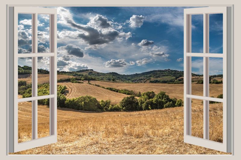 UK INTERIOR DESIGN 60.96 cm Large 3D Wall Window Decal Stickers, PVC Self Adhesive Vinyl for Living Room, Hall, Play Room, Bedroom, Kitchen, Office(24 x 36 Inch)_0165 Self Adhesive Sticker  (Pack of 1)