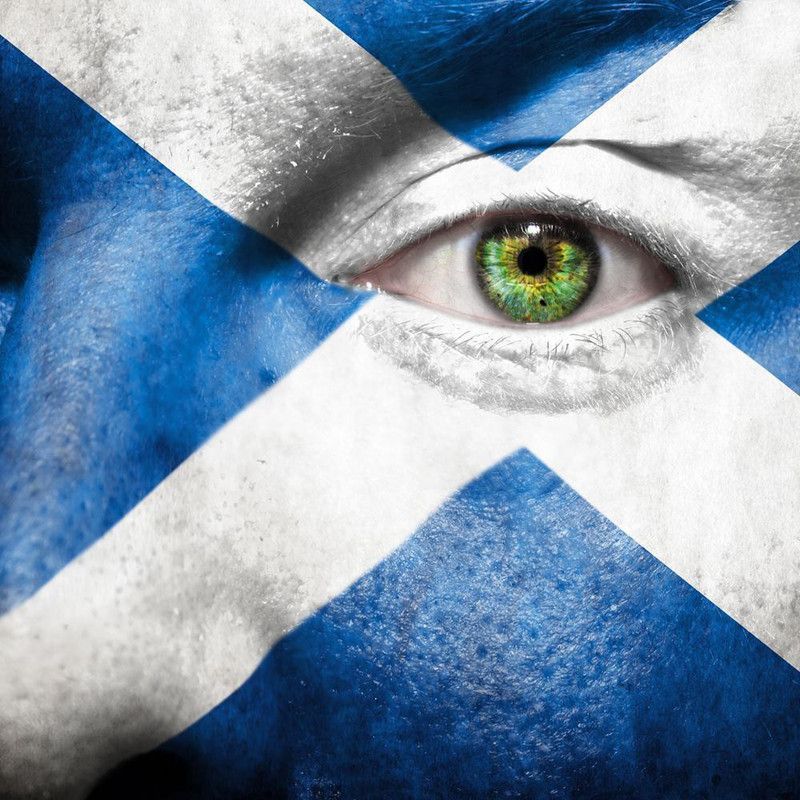Scotland Flag Painted On Face Canvas Painting | MDF Wood Frame Canvas 20 inch x 20 inch Painting