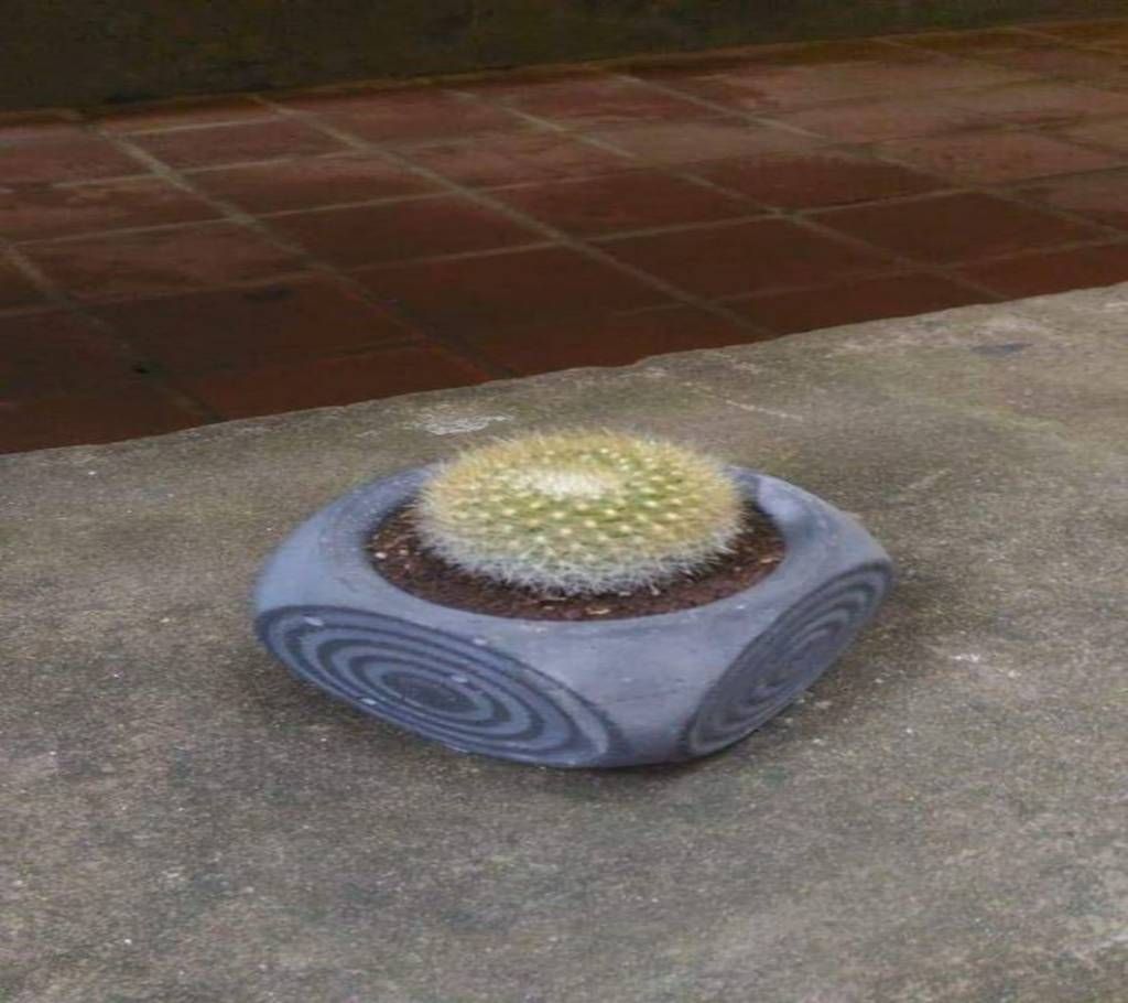 Natural Flower