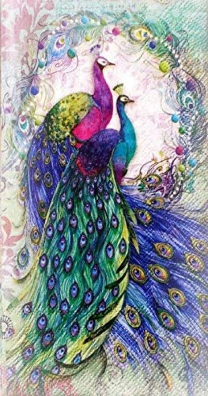 Scenery of Peacock Digital Print 3D Poster  (19 inch X 13 inch, Rolled)