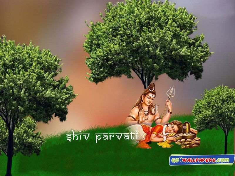 Lord Shiv Parvati Poster Photographic Paper  (18 inch X 12 inch, Rolled)