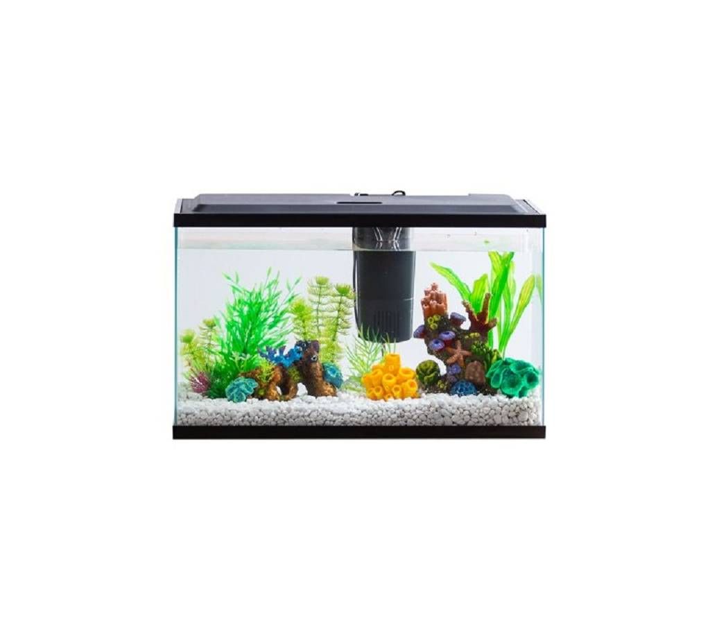 Aqua Culture - 10 Gallon Aquarium
