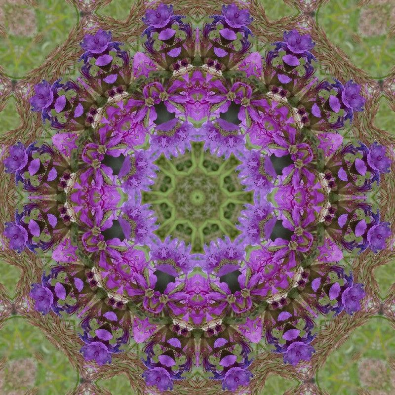 Artzfolio 71.12 cm Purple Floral Mandala D1 Peel & Stick Vinyl Wall Sticker 28inch x 28inch (71.1cms x 71.1cms) Self Adhesive Sticker  (Pack of 1)