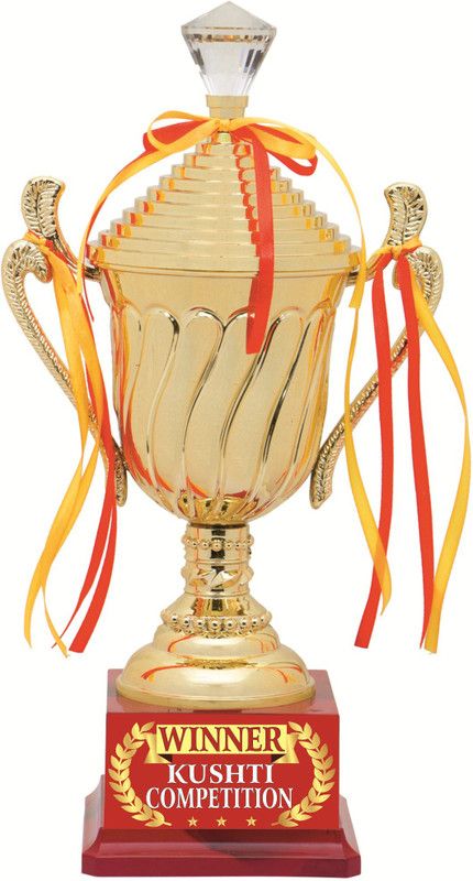 AARK INDIA KUSHTI COMPETITION WINNER SPORTS TROPHY:EVENT AWARD (PC 00432) Trophy  (15)