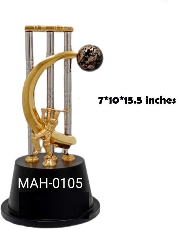 MAH INTERNATIONAL Award trophy for cricket Trophy  (15.5 (L))