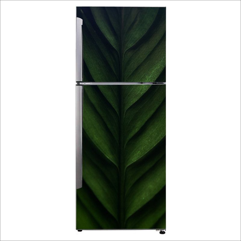 Advait Designs 60 cm Advait Designs Decorative close up plant stem banana leaf biology plant Extra Large Fridge Sticker Self Adhesive Sticker  (Pack of 1)
