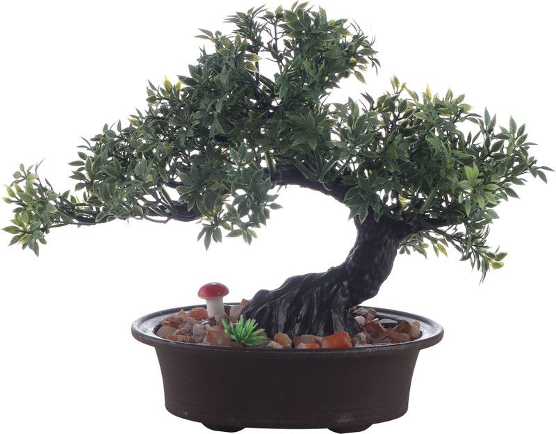 Foliyaj Bonsai Wild Artificial Plant with Pot  (23 cm, Multicolor)