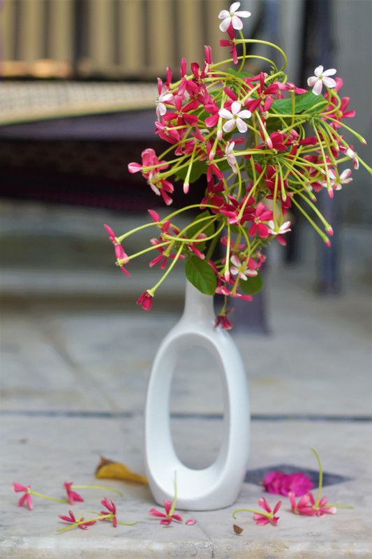 houseking Graceful Vase Ceramic Vase  (8.5 inch, White)