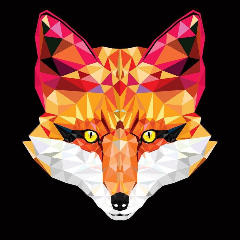 Pitaara Box Fox Head In Geometric Pattern Framed Wall Art Painting Print Canvas 24 inch x 24 inch Painting  (With Frame)