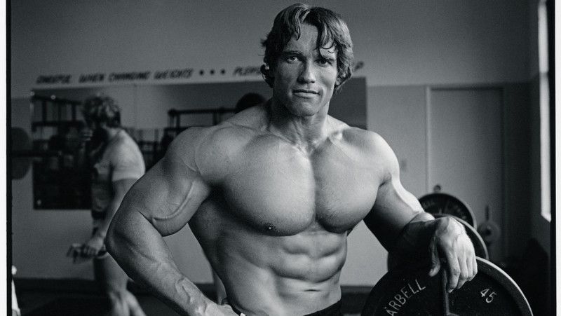 arnold schwarzenegger bodybuilding POSTER HD Wallpaper Background Fine Art Paper Fine Art Print  (12 inch X 18 inch, ROLLED)