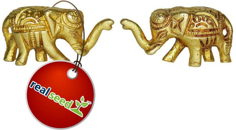 Real Seed Brass Elephant Statue Pair in Golden Finish Having Attractive Look - Unique Pooja Pital Hatti Murti Ghar, Home, Office Table Decor Showpiece Decorative Showpiece - 3 cm  (Brass, Gold)