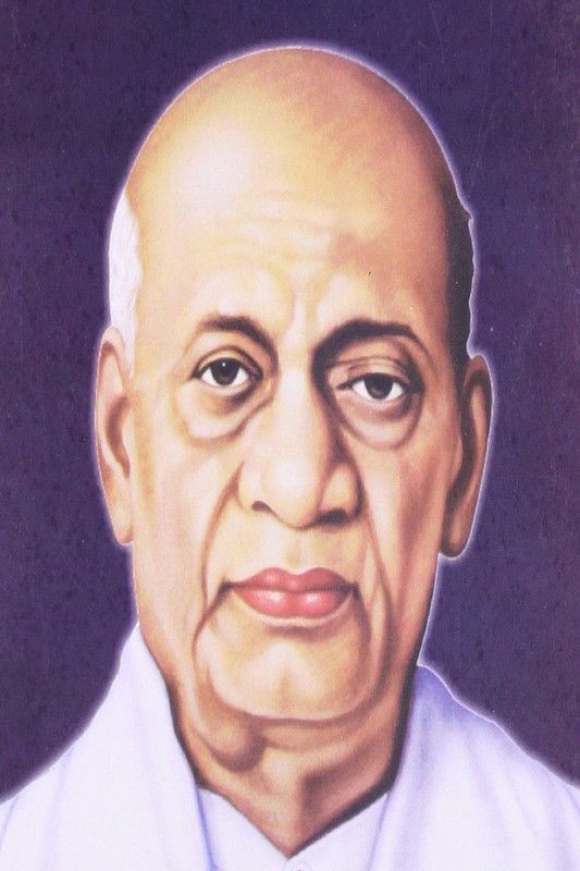 Poster of Indian Leader & Freedom Fighter- Vallabhbhai Jhaverbhai Patel 3D Poster  (18 inch X 12 inch, Rolled)