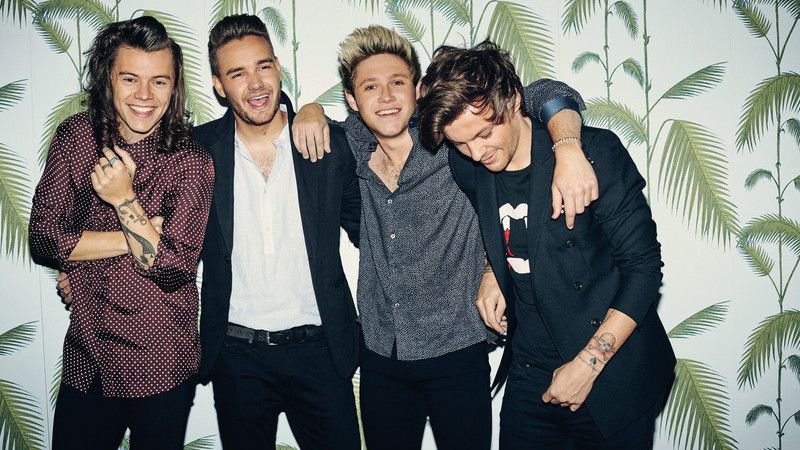 Poster Music One Direction Band Music United Kingdom sl-14728 (Wall Poster, 13x19 Inches, Matte Paper, Multicolor) Fine Art Print  (13.1 inch X 19.1 inch, Rolled)
