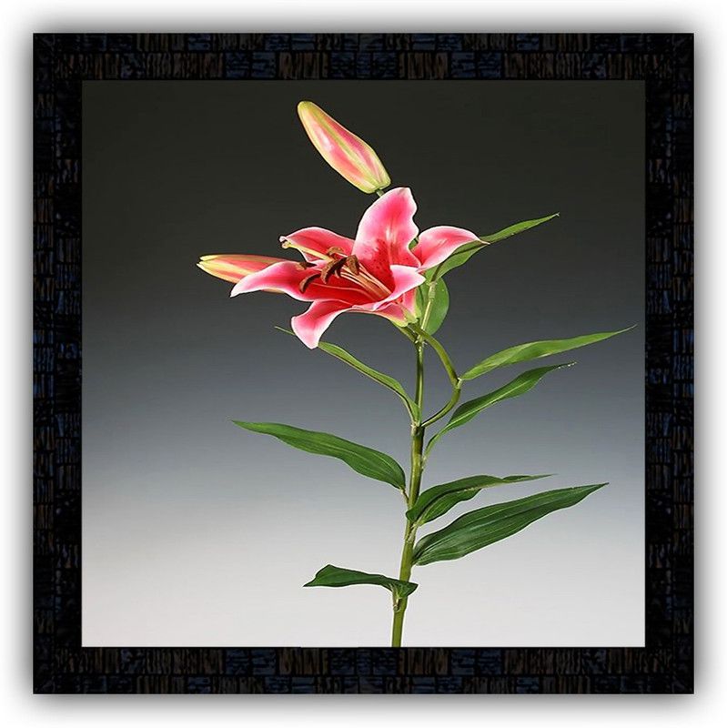 Poster N Frames framed poster of Flower floral-25448 Digital Reprint 14 inch x 14 inch Painting  (With Frame)