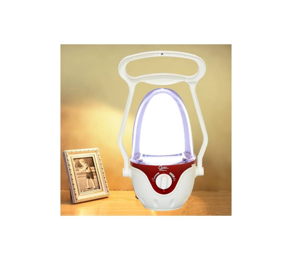 Rechargeable LED Light With Power Control  